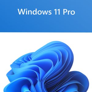 מערכת הפעלה אנגלית Microsoft Windows 11 Professional 64Bit